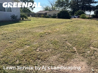 Grass Cut nearby Modesto, CA, 