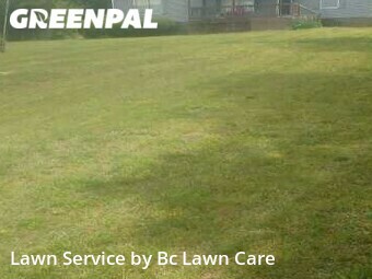 Yard Cutting nearby Louisburg, NC, 