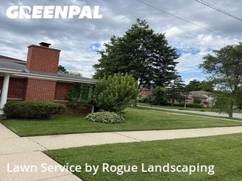 Grass Cut nearby Park Ridge, IL, 