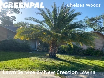 Grass Cutting nearby Valrico, FL, 