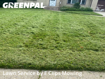 Lawn Mow nearby Rockford, IL, 
