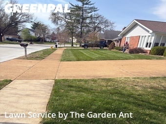 Grass Cut nearby Chesterfield, MO, 