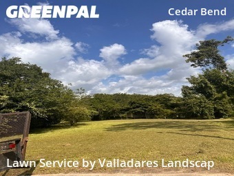 Lawn Maintenancein Baytown,77521,Lawn Mowing Service by Valladares Landscap, work completed in Jan , 2026
