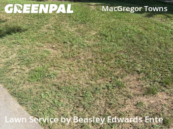 Lawn Care Service nearby Cary, NC, 