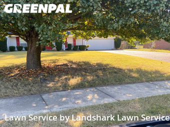 Lawn Cut nearby Cordova, MS, 