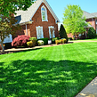 cheap-lawn-cutting-businesses-in-Provo-UT