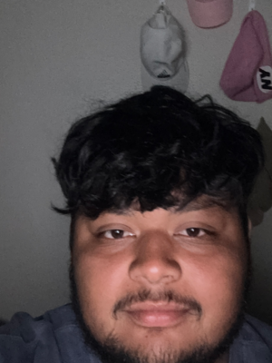 Affordable landscape companies-Katy-TX