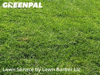 Lawn Service nearby Greeley, CO, 