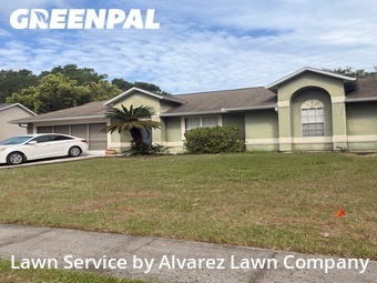 Lawn Cutin Ocoee,34761,Lawn Service by Alvarez Lawn Company, work completed in Jul , 2026