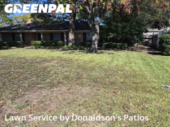 Lawn Mowin Richardson,75081,Lawn Care by Donaldson's Patios, work completed in Feb , 2026