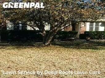 Grass Cutting nearby Springfield, MO, 