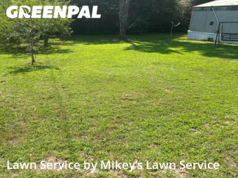 Lawn Mowing nearby Rome, GA, 