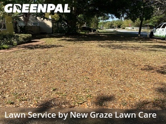 Grass Cut nearby Gulfport, FL, 