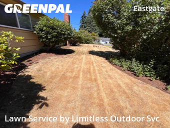 Lawn Mowing Service nearby Bellevue, WA, 