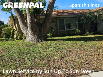 Lawn Cutting nearby Dunedin, FL, 
