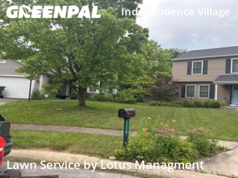 Grass Cutting nearby Reynoldsburg, OH, 