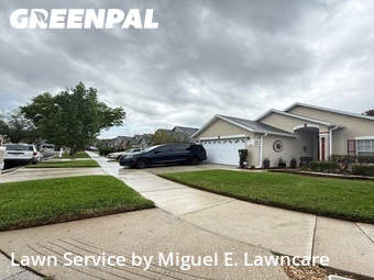 Grass Cut nearby Orlando, FL, 
