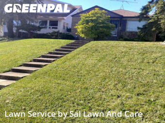 Lawn Mowing in Homewood, 60430, Yard Maintenance by Sal Lawn And Care, work completed in Nov , 2025
