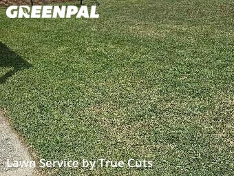 Lawn Cutting nearby Midwest City, OK, 