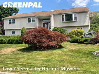 Yard Management in New Rochelle, 10804, Yard Management by Harlem Mowers, work completed in Dec , 2025
