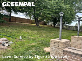 Lawn Cut nearby Papillion, NE, 