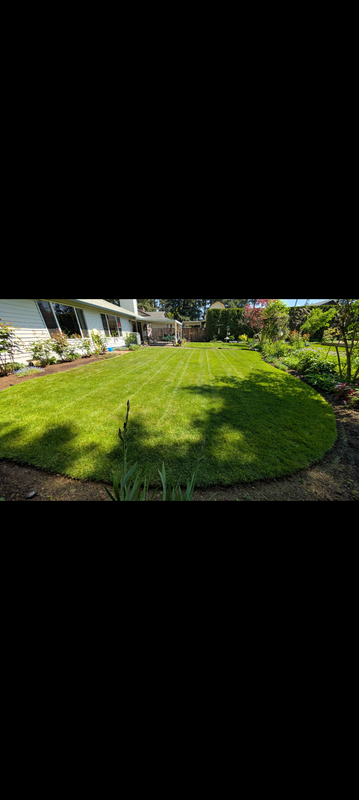 Work Image 4