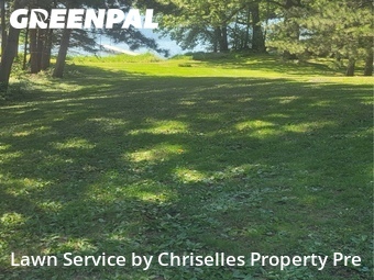 Lawn Mow nearby Roseville, MN, 