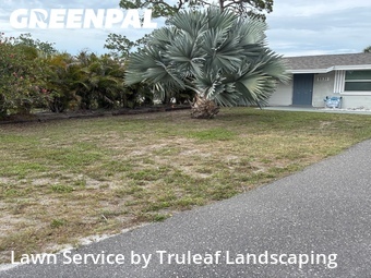 Lawn Cutting nearby Bradenton, FL, 