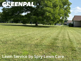 Yard Cutting nearby Manchester, TN, 