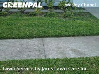 Lawn Cut nearby Wesley Chapel, FL, 