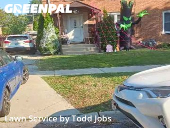 Grass Cut nearby Des Plaines, IL, 