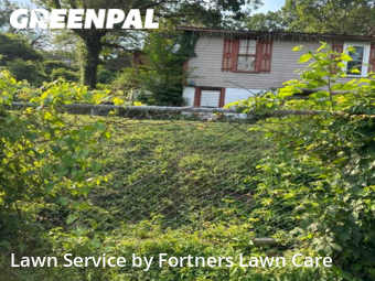 Lawn Mow nearby Irondale, AL, 