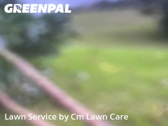 Lawn Mowing nearby Davenport, FL, 