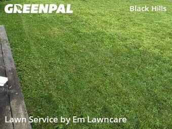 Lawn Mow nearby Grand Rapids, MI, 