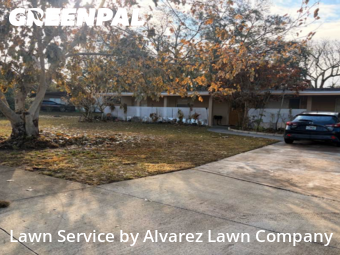 Lawn Carein Altamonte Springs,32714,Lawn Cut by Alvarez Lawn Company, work completed in Feb , 2026