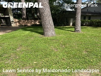 Grass Cutting nearby Houston, TX, 