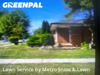 Grass Cut nearby Fraser, MI, 