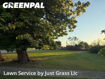 Yard Work in East St. Louis, 62205, Landscaping Maintenance by Just Grass Llc, work completed in Nov , 2025
