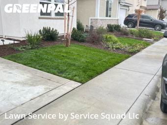 Work completed by grass-trimming-service-in-Roseville-CA