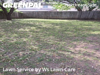 Lawn Servicein Schertz,78154,Lawn Cutting by Ws Lawn Care, work completed in Jul , 2026