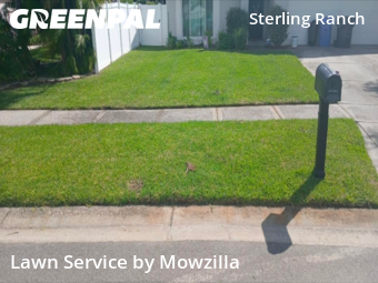 Lawn Cutting nearby Brandon, FL, 
