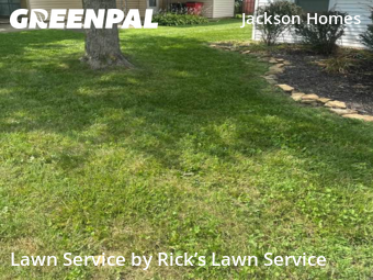 Lawn Cut nearby Grove City, OH, 