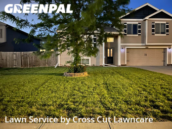 Grass Cutting nearby Bellevue, NE, 
