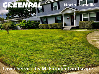 Lawn Maintenance nearby Norfolk, VA, 