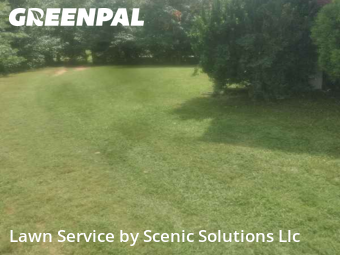 Grass Cut nearby Middle River, MD, 