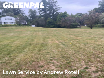 Grass Cut nearby Baldwinsville, NY, 