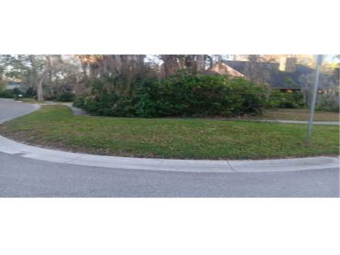 Lawn Maintenance nearby Brandon, FL, 