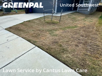 Grass Cutting nearby San Antonio, TX, 