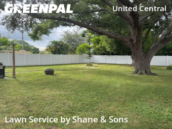 Lawn Maintenance nearby St. Petersburg, FL, 