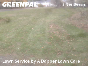Grass Care in Bellingham, 98229, Lawn Management by A Dapper Lawn Care, work completed in Nov , 2025